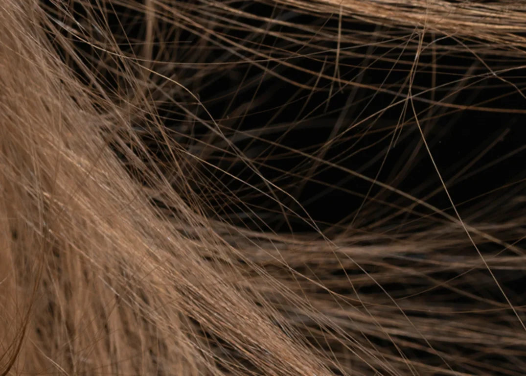 Brown hair is frizzy from static in front of a black background.