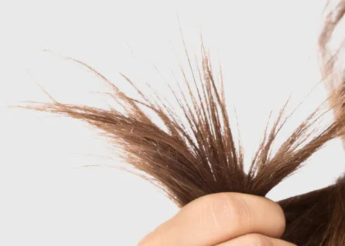How To Help Repair Split Ends Without Cutting Your Hair