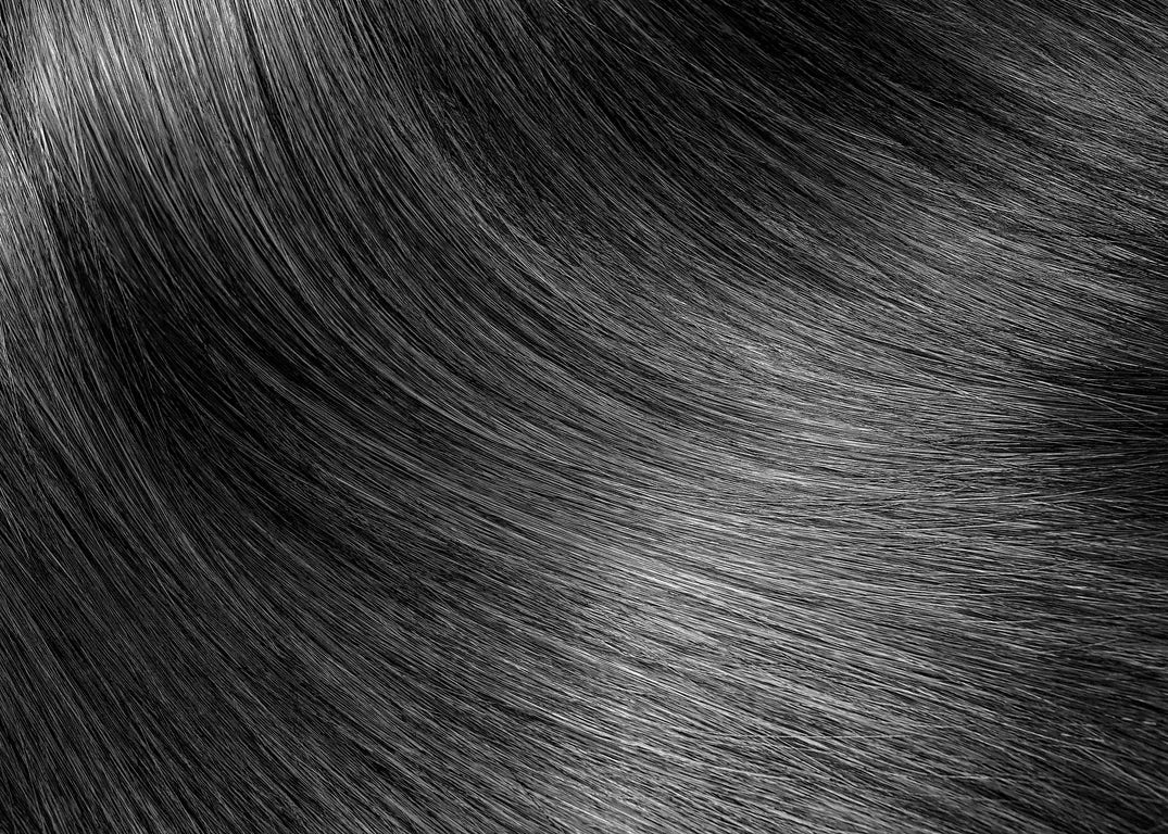 Urban Sleek