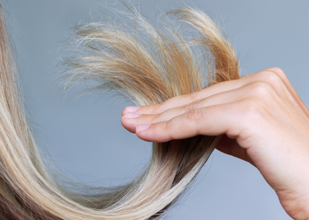 A hand holds long blonde damaged split ends in front of a gray background.