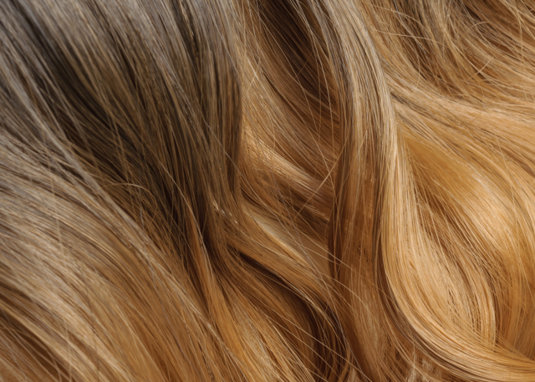 ombre hair flows from brown to blonde.