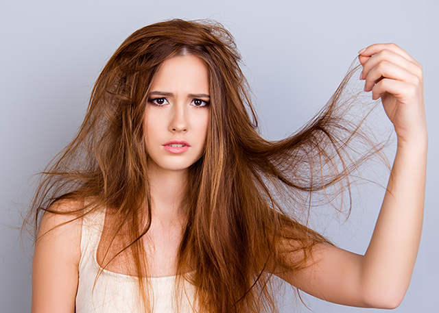 The Best Products for Dry, Damaged Hair